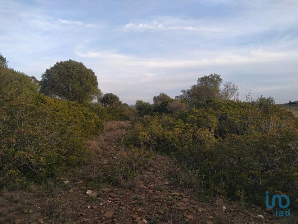 Terreno para Venda em Barão de São Miguel Foto 11