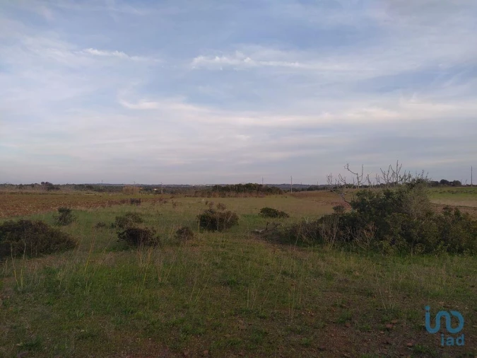 Terreno para Venda em Barão de São Miguel Foto 13