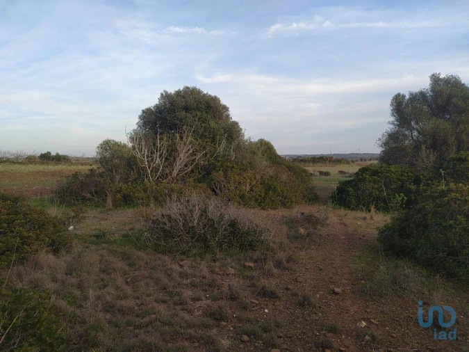 Terreno para Venda em Barão de São Miguel Foto 12