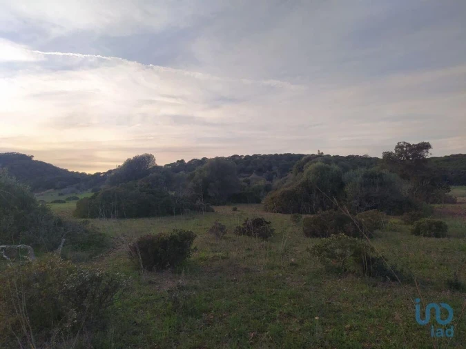 Terreno para Venda em Barão de São Miguel Foto 8