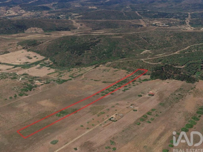 Terreno para Venda em Barão de São Miguel Foto 16