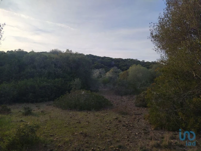 Terreno para Venda em Barão de São Miguel Foto 7