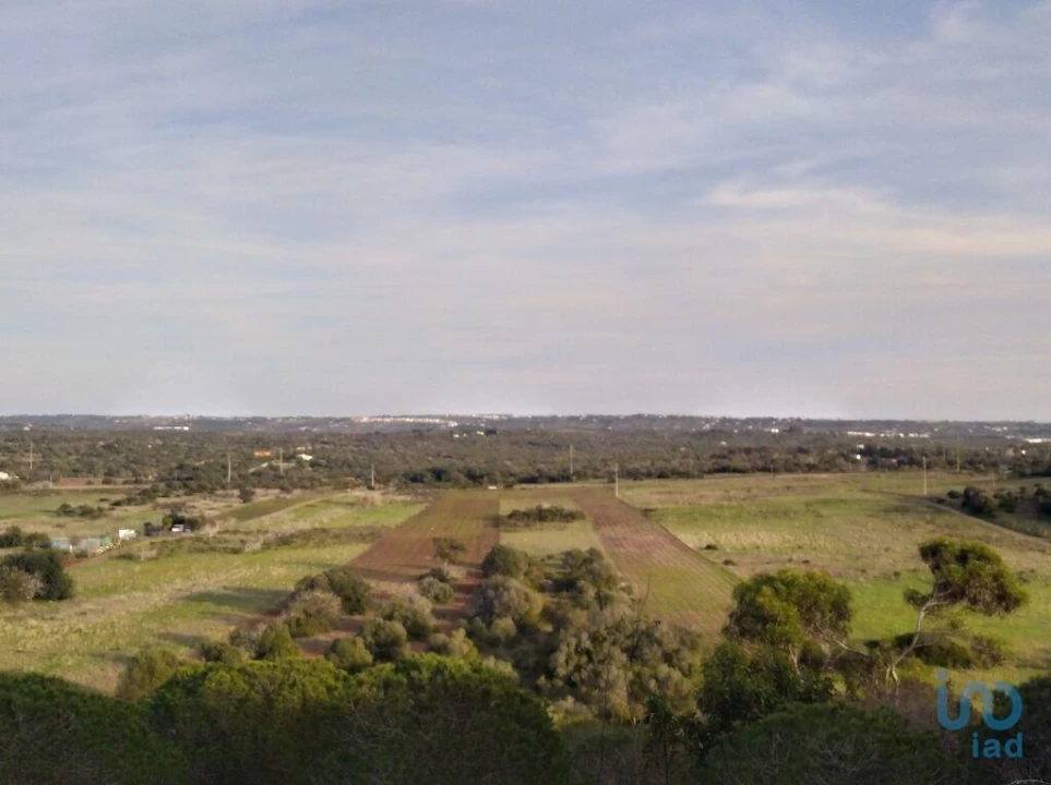 Terreno para Venda em Barão de São Miguel Foto 15