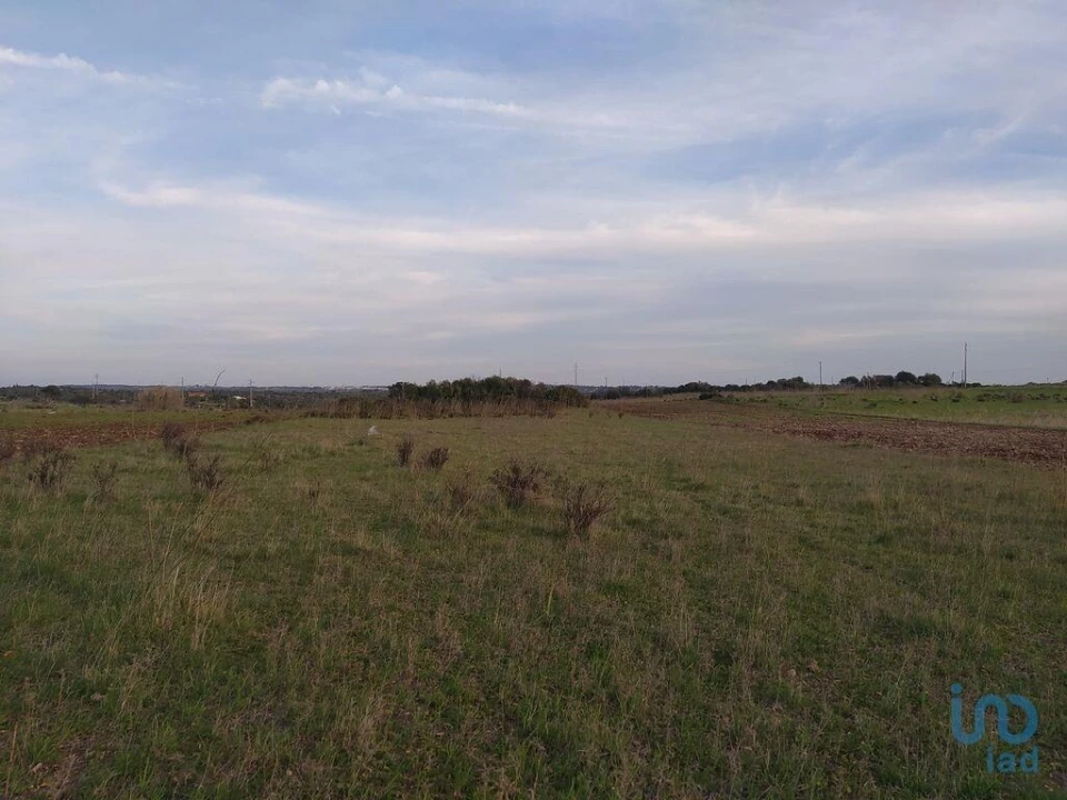 Terreno para Venda em Barão de São Miguel Foto 14