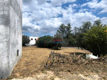 Armazém para Venda em Alcanena e Vila Moreira