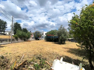 Armazém para Venda em Alcanena e Vila Moreira