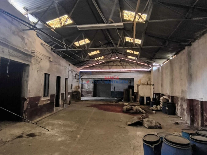 Armazém para Venda em Alcanena e Vila Moreira Foto 25