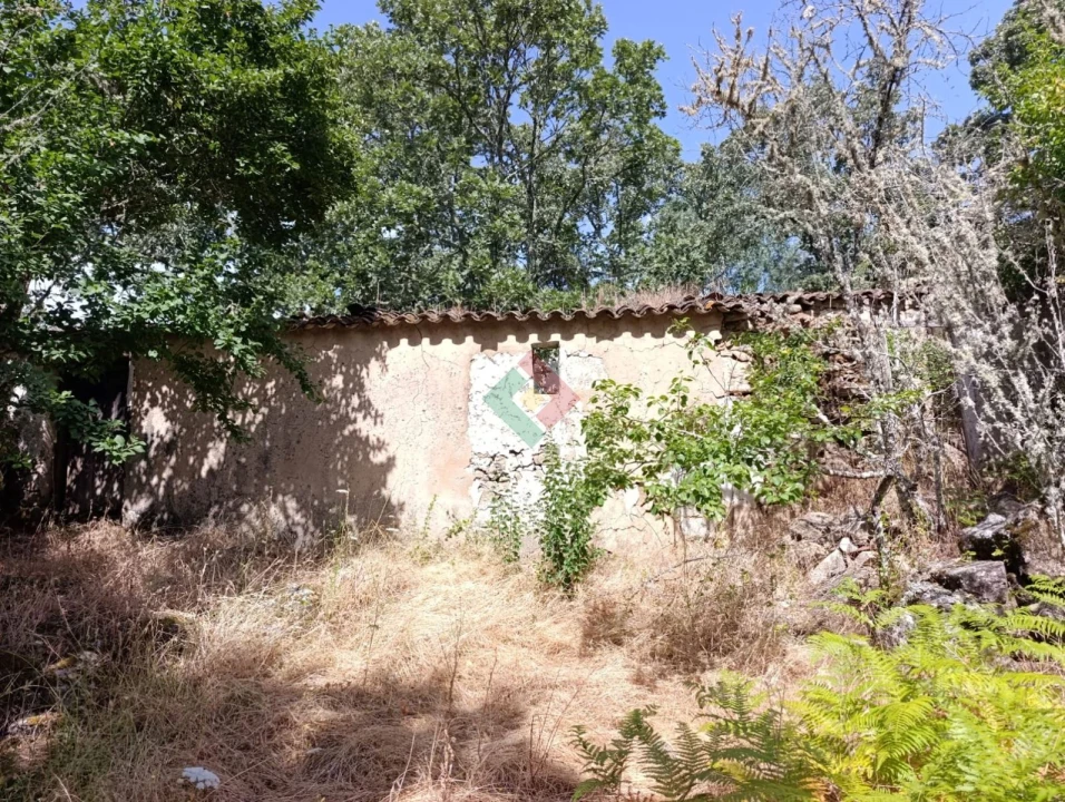 Quinta T2 para Venda em São Salvador da Aramenha Foto 7
