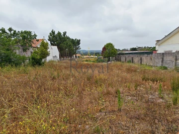 Terreno para Venda em Tornada e Salir do Porto