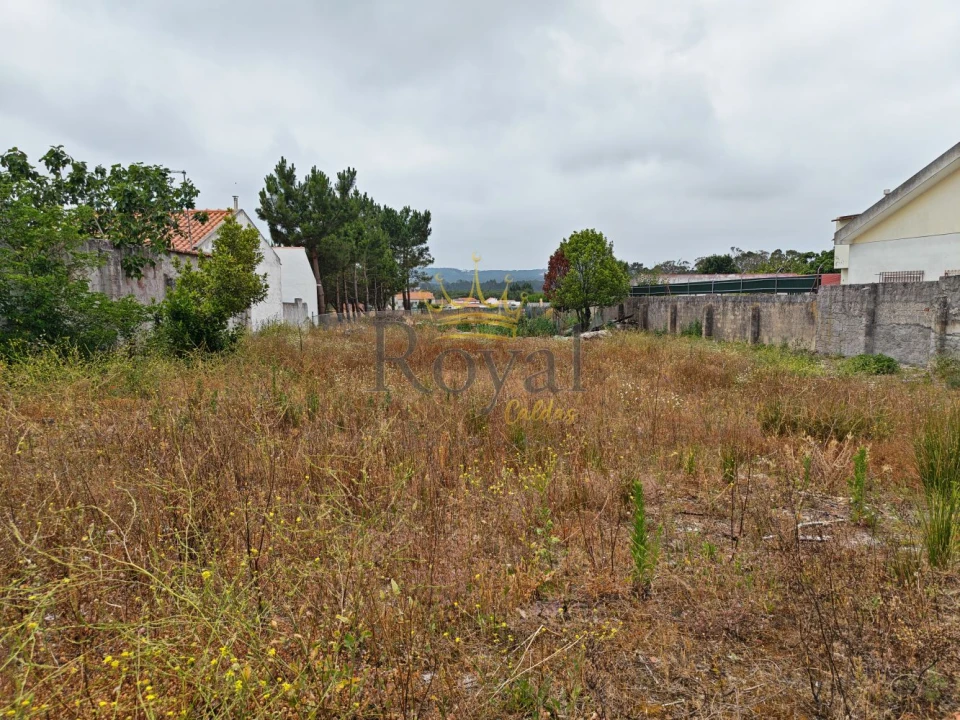 Terreno para Venda em Tornada e Salir do Porto Foto 1