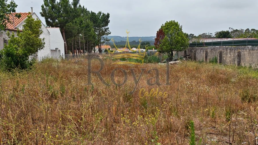 Terreno para Venda em Tornada e Salir do Porto