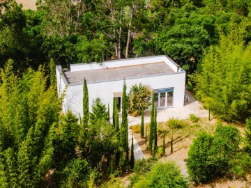 Terreno para Venda em Bombarral e Vale Covo
