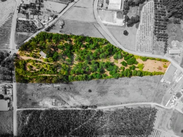 Terreno para Venda em Bombarral e Vale Covo