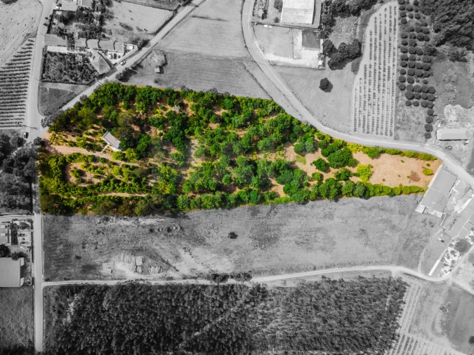 Terreno para Venda em Bombarral e Vale Covo Foto 2