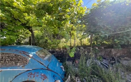 Terreno para Venda em Vilela, São Cosme e São Damião e Sá