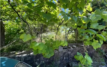 Terreno para Venda em Vilela, São Cosme e São Damião e Sá