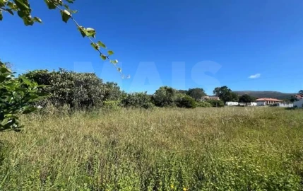 Terreno para Venda em Vilela, São Cosme e São Damião e Sá