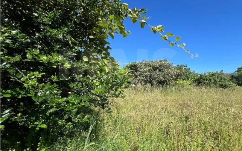 Terreno para Venda em Vilela, São Cosme e São Damião e Sá Foto 4