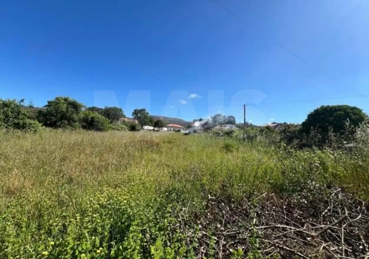 Terreno para Venda em Vilela, São Cosme e São Damião e Sá Foto 2