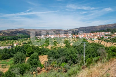 Moradia T3 para Venda em Erada