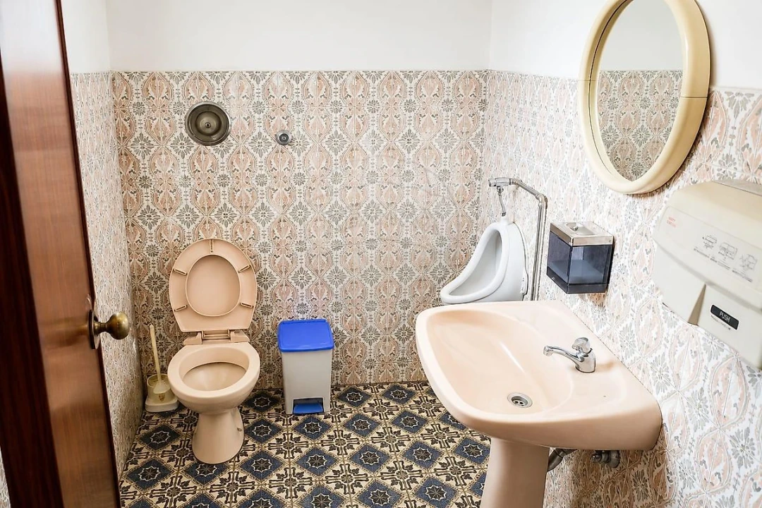 Negócio para Venda em O. Azeméis, Riba-Ul, Ul, Macinhata Seixa, Madail Foto 12