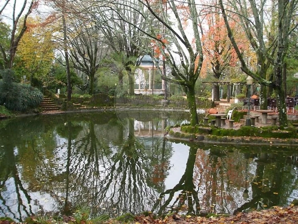 Negócio para Venda em O. Azeméis, Riba-Ul, Ul, Macinhata Seixa, Madail Foto 4