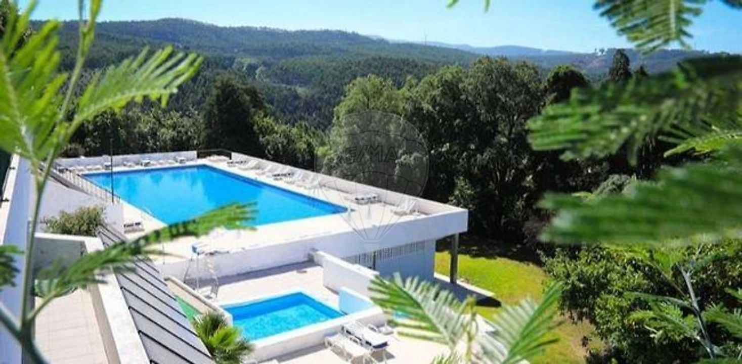 Negócio para Venda em O. Azeméis, Riba-Ul, Ul, Macinhata Seixa, Madail Foto 2