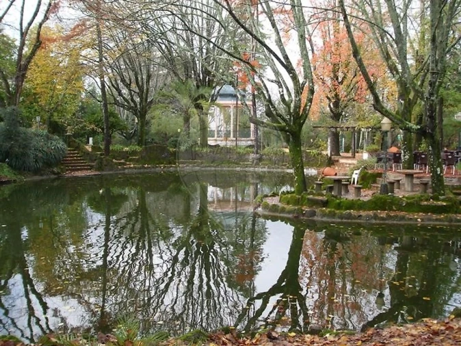 Negócio para Venda em O. Azeméis, Riba-Ul, Ul, Macinhata Seixa, Madail Foto 4