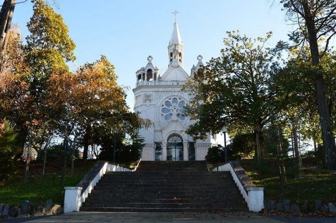 Negócio para Venda em O. Azeméis, Riba-Ul, Ul, Macinhata Seixa, Madail Foto 1