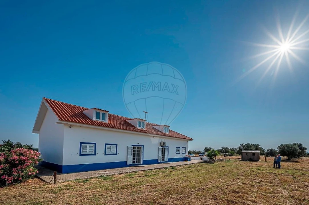 Quinta T3 para Venda em Ferreira do Alentejo e Canhestros Foto 11