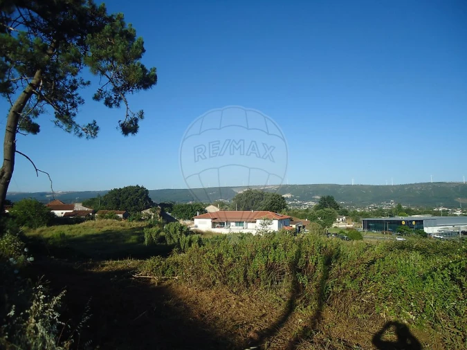 Terreno para Venda em Benedita Foto 5