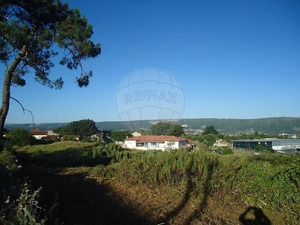 Terreno para Venda em Benedita Foto 5