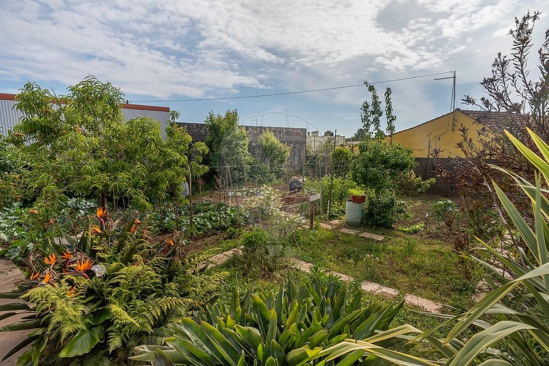 Moradia T4 para Venda em Cidade da Maia Foto 34