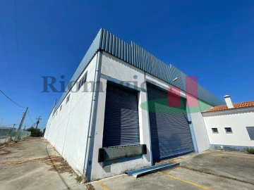 Armazém para Venda em Alpiarça