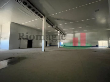 Armazém para Venda em Alpiarça
