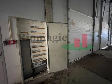 Armazém para Venda em Alpiarça