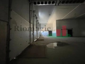 Armazém para Venda em Alpiarça