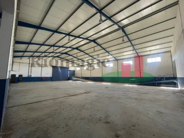 Armazém para Venda em Alpiarça