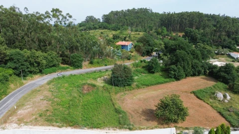 Terreno para Venda em Brandara