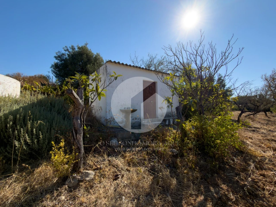 Terreno para Venda em Conceição e Estoi Foto 3