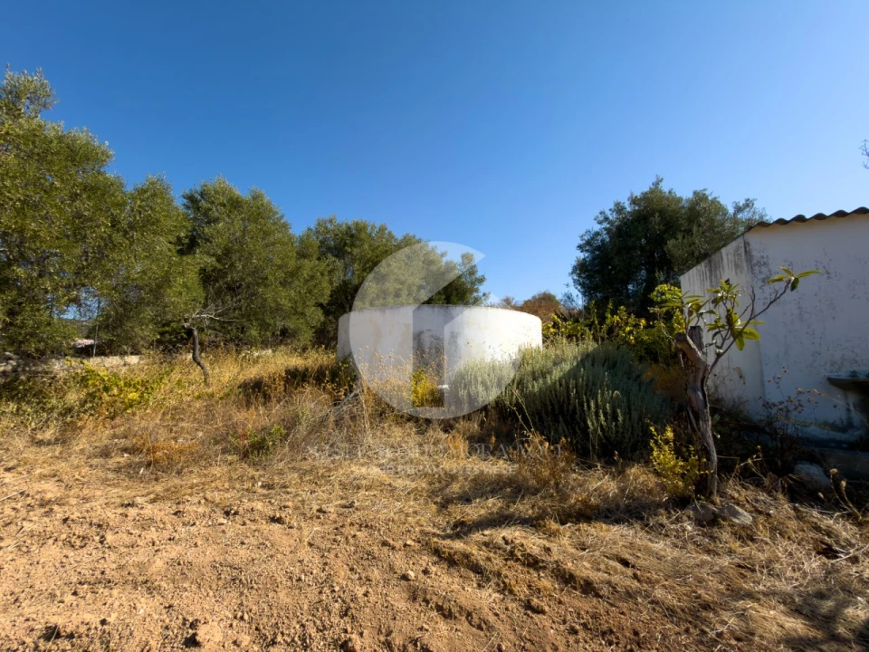 Terreno para Venda em Conceição e Estoi Foto 4