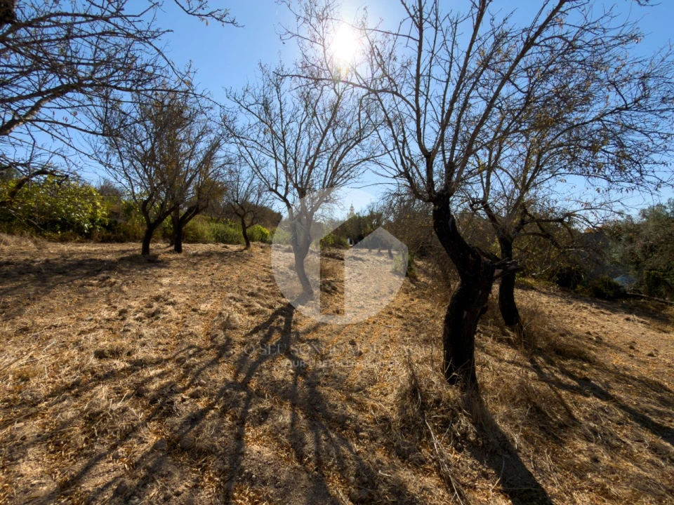 Terreno para Venda em Conceição e Estoi Foto 6