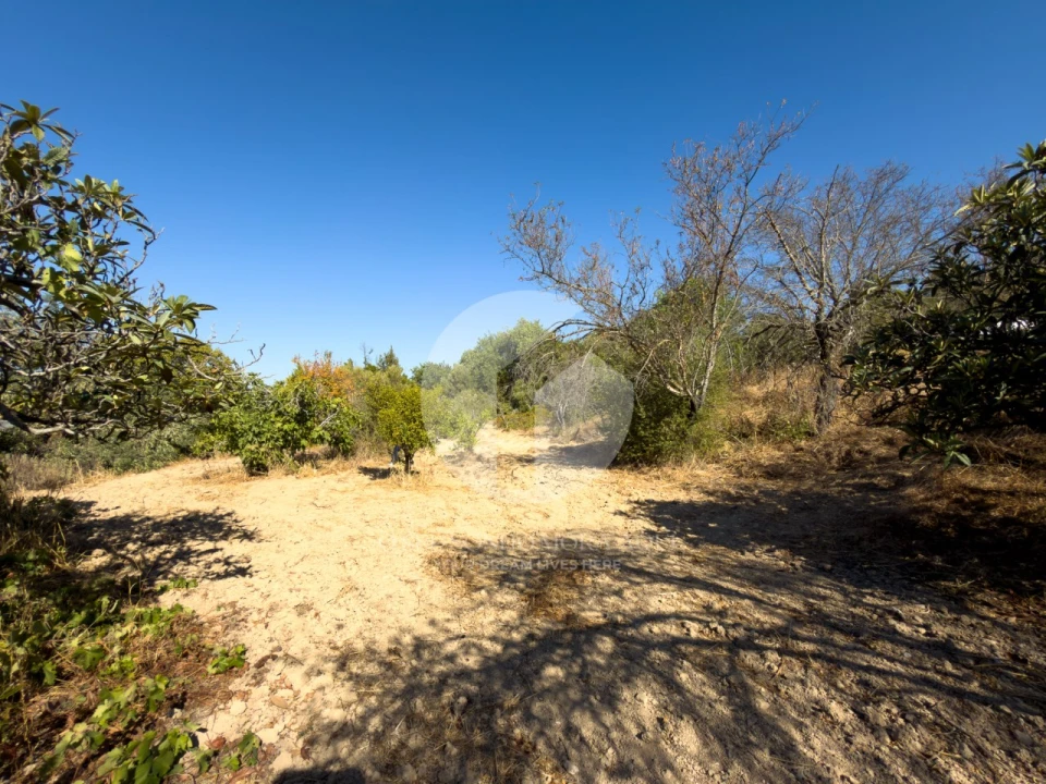 Terreno para Venda em Conceição e Estoi Foto 8