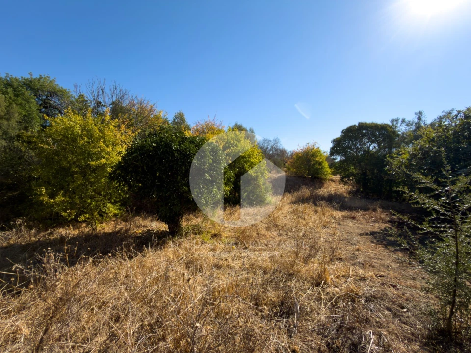 Terreno para Venda em Conceição e Estoi Foto 10