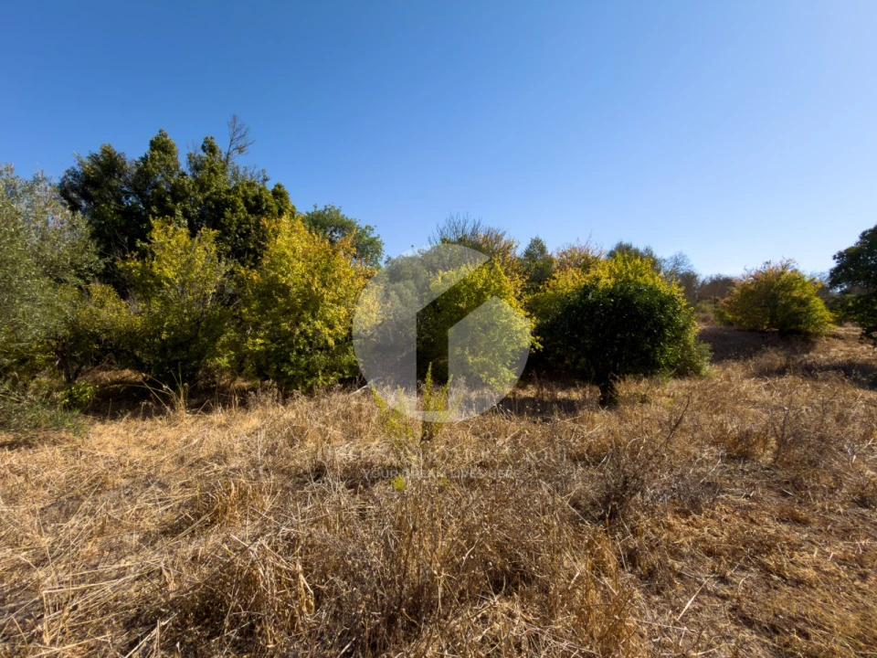 Terreno para Venda em Conceição e Estoi Foto 12