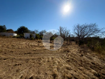 Terreno para Venda em Conceição e Estoi