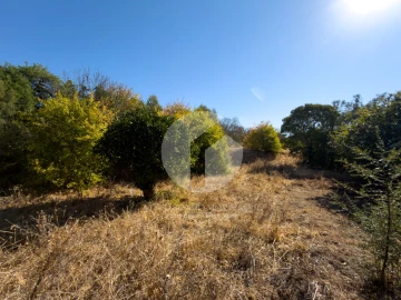 Terreno para Venda em Conceição e Estoi