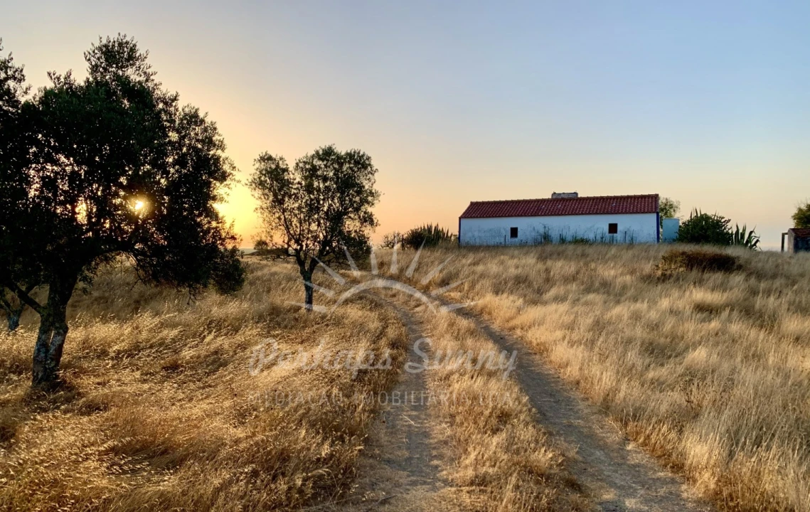 Terreno Misto para Venda em Santiago do Cacém, Santa Cruz e São Bartolomeu da Serra Foto 1