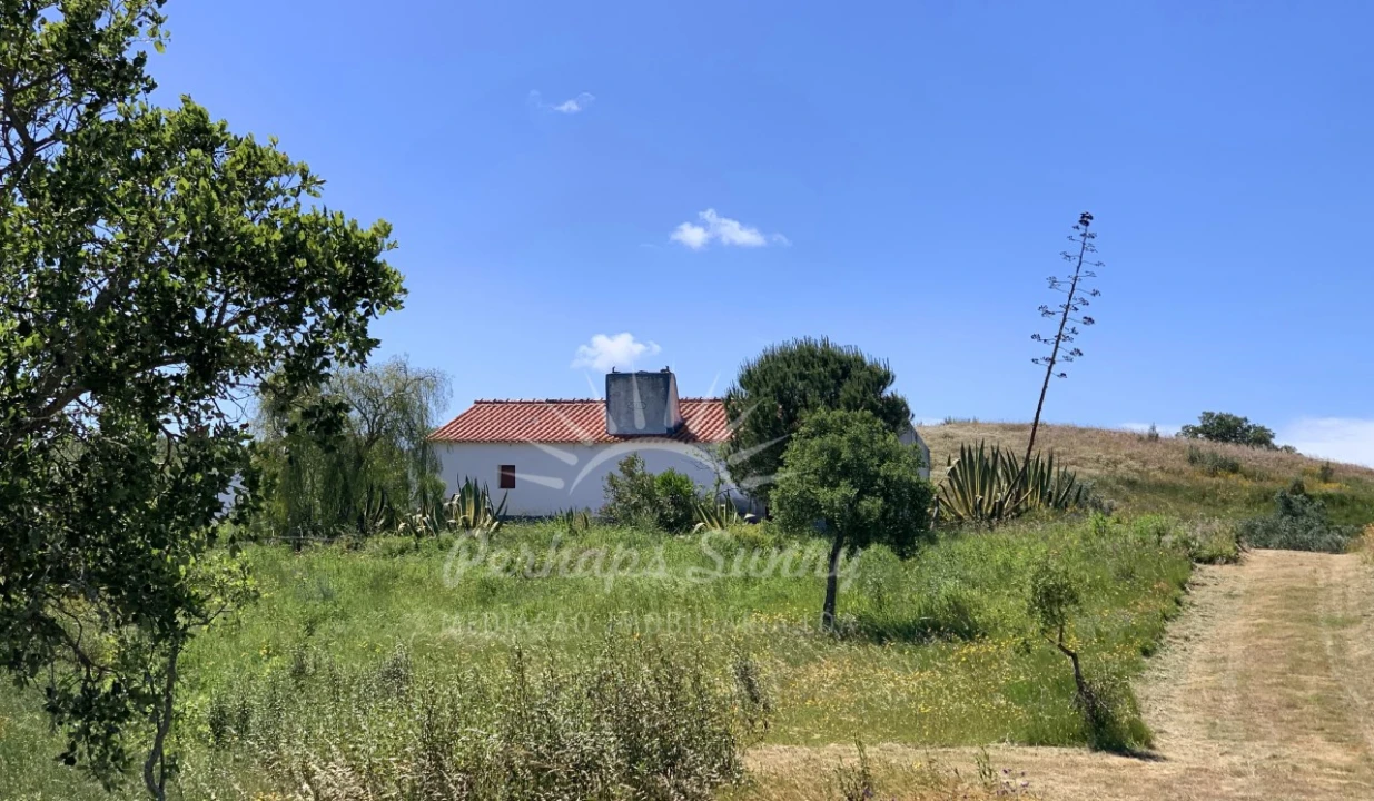 Terreno Misto para Venda em Santiago do Cacém, Santa Cruz e São Bartolomeu da Serra Foto 3