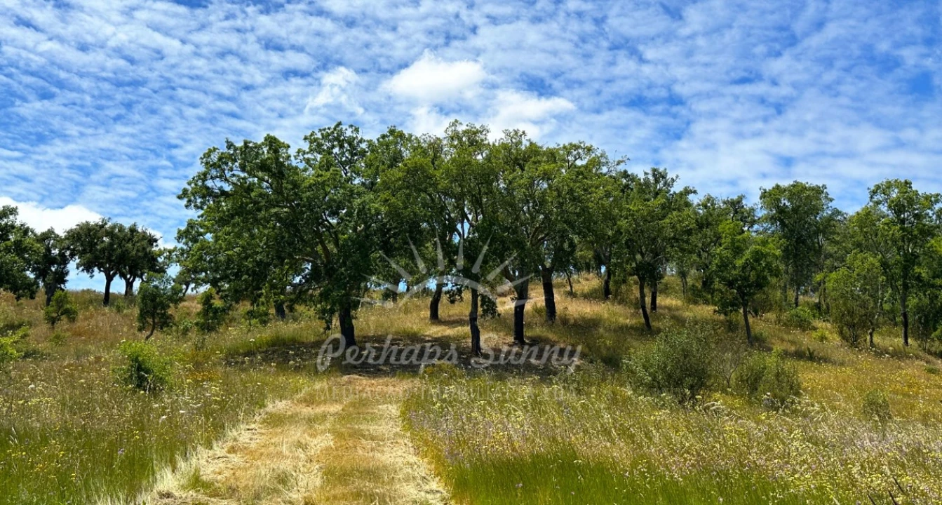 Terreno Misto para Venda em Santiago do Cacém, Santa Cruz e São Bartolomeu da Serra Foto 9